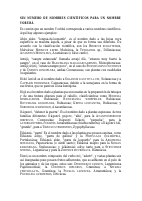 Relación de Plantas Yoruba en Cuba.pdf